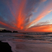 Olympic NP 13